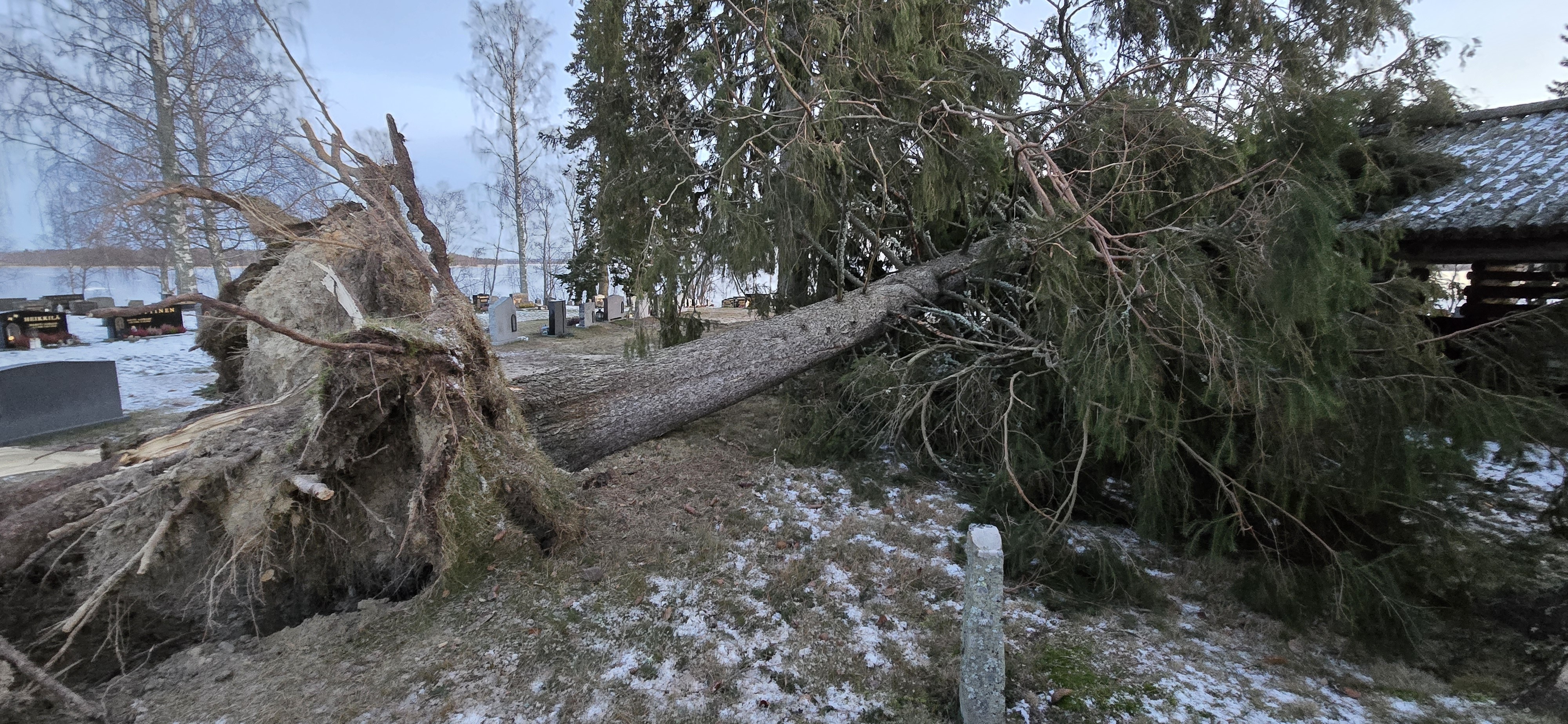 Yli 4000 asiakasta vielä ilman sähköä Etelä-Pohjanmaalla ja Pohjanmaalla