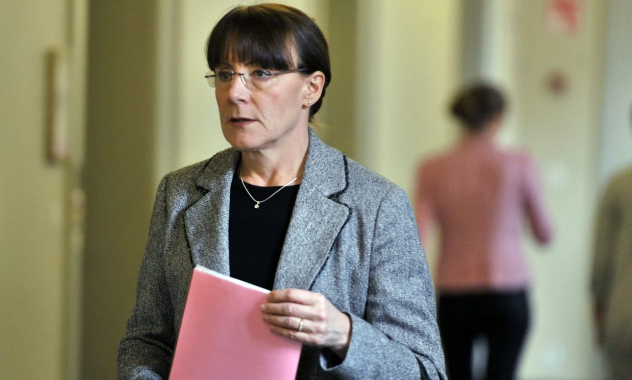 Perussuomalaisten eduskuntaryhmän puheenjohtaja Pirkko Ruohonen-Lernerin mukaan ruotsista luopumalla kielivalinnat monipuolistuisivat.