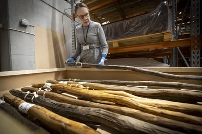 Pohjois-Pohjanmaan museo luovutti saamelaistekstiilejä Siidalle