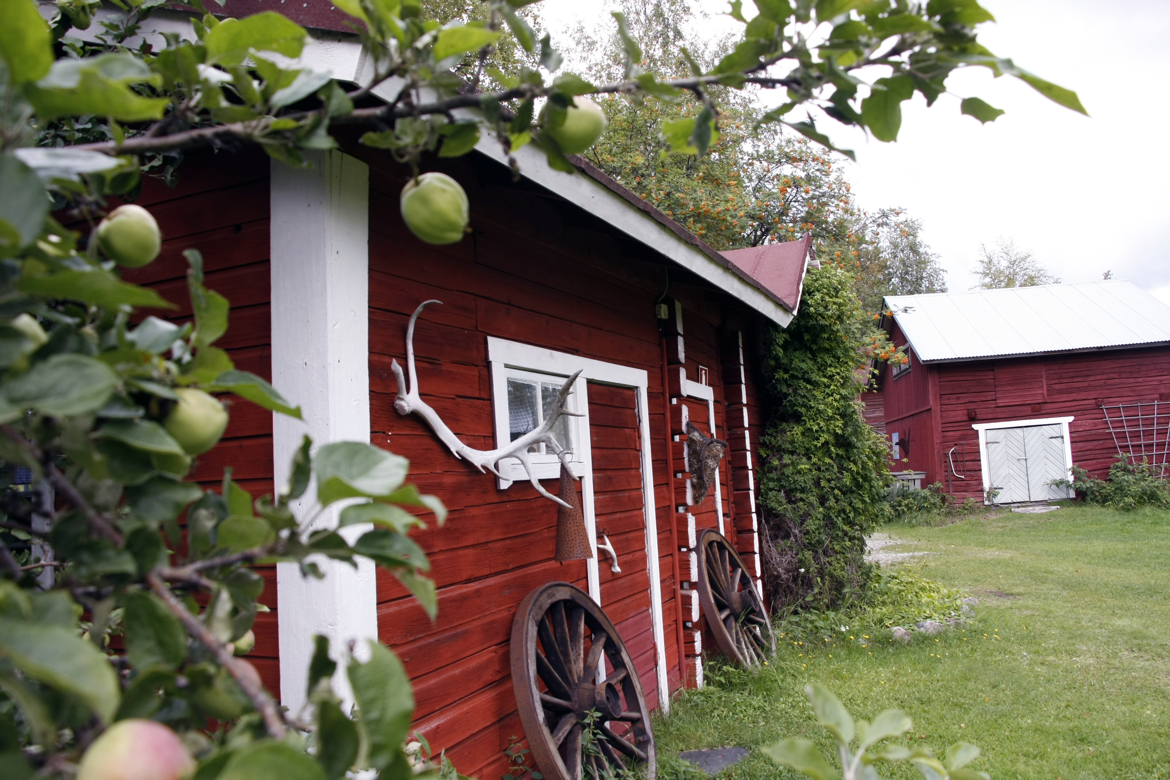 Pihapiirin rakennukset huokuvat maalaisidylliä. Saunan takaterassille on rakennettu palju.