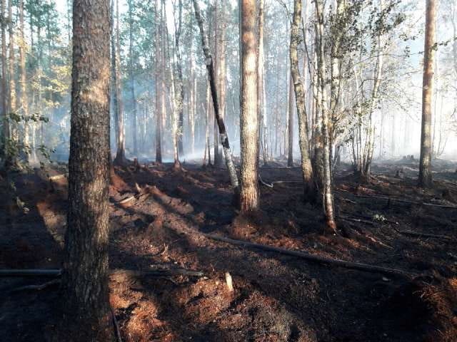 Metsäpaloa sammutettiin tiistaina myös Oulaisissa. Palopaikka oli Oulaisten ja Ylivieskan välillä Kytökorvessa Iso Kalliolammen läheisyydessä.