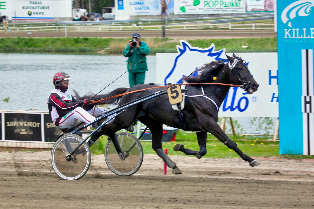 Hannu Torvisen ohjastama Hotshot Luca voitti 4. lähdön Vermossa.