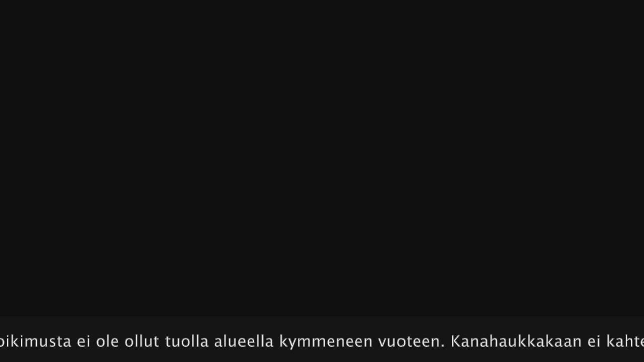 Koppelon poikue riistakamerassa