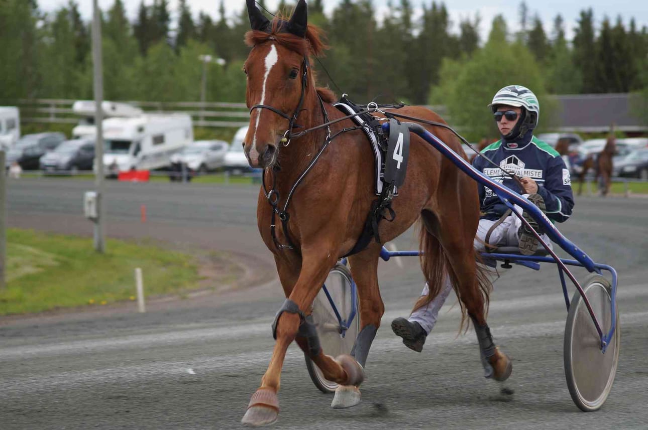 Jonny Länsimäen ajama Ryti-Tyttö parantaa otteitaan. Seuraava koitos on sunnuntaina Kauhavalla.