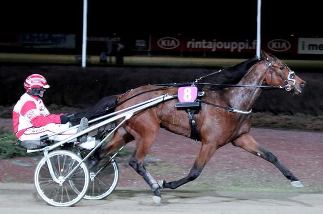 Jari Kinnusen suojatti Shackhills Twister puristi selvään voittoon illan neljännessä välierässä. KUVA: HEIKKI HAKANEN