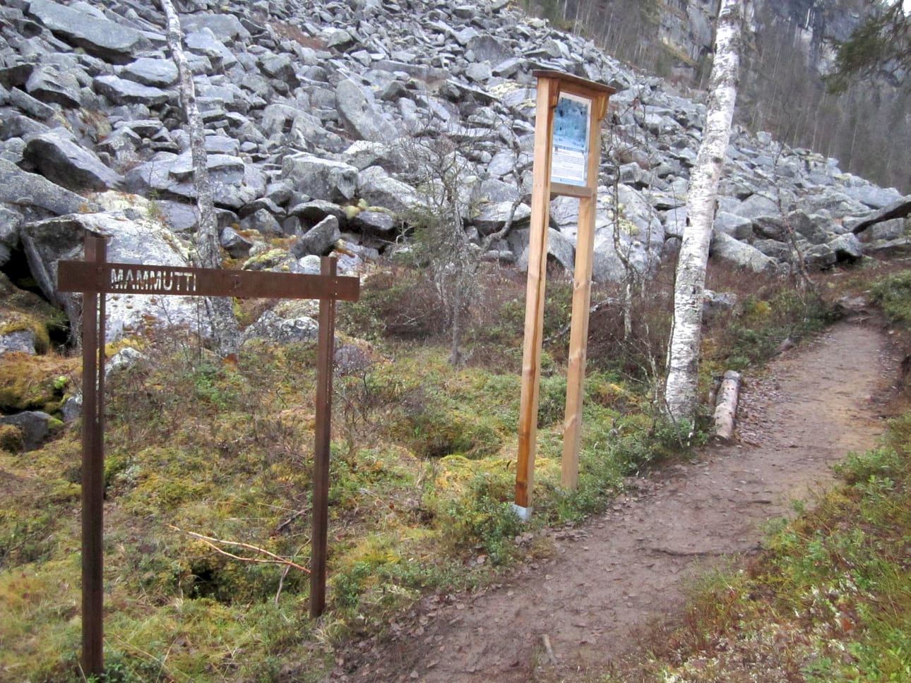 Ikijään löytöpaikka on Korouomaan viime vuoden lopulla avatun Koron jää -reitin varrella lähellä Mammuttiputousta.