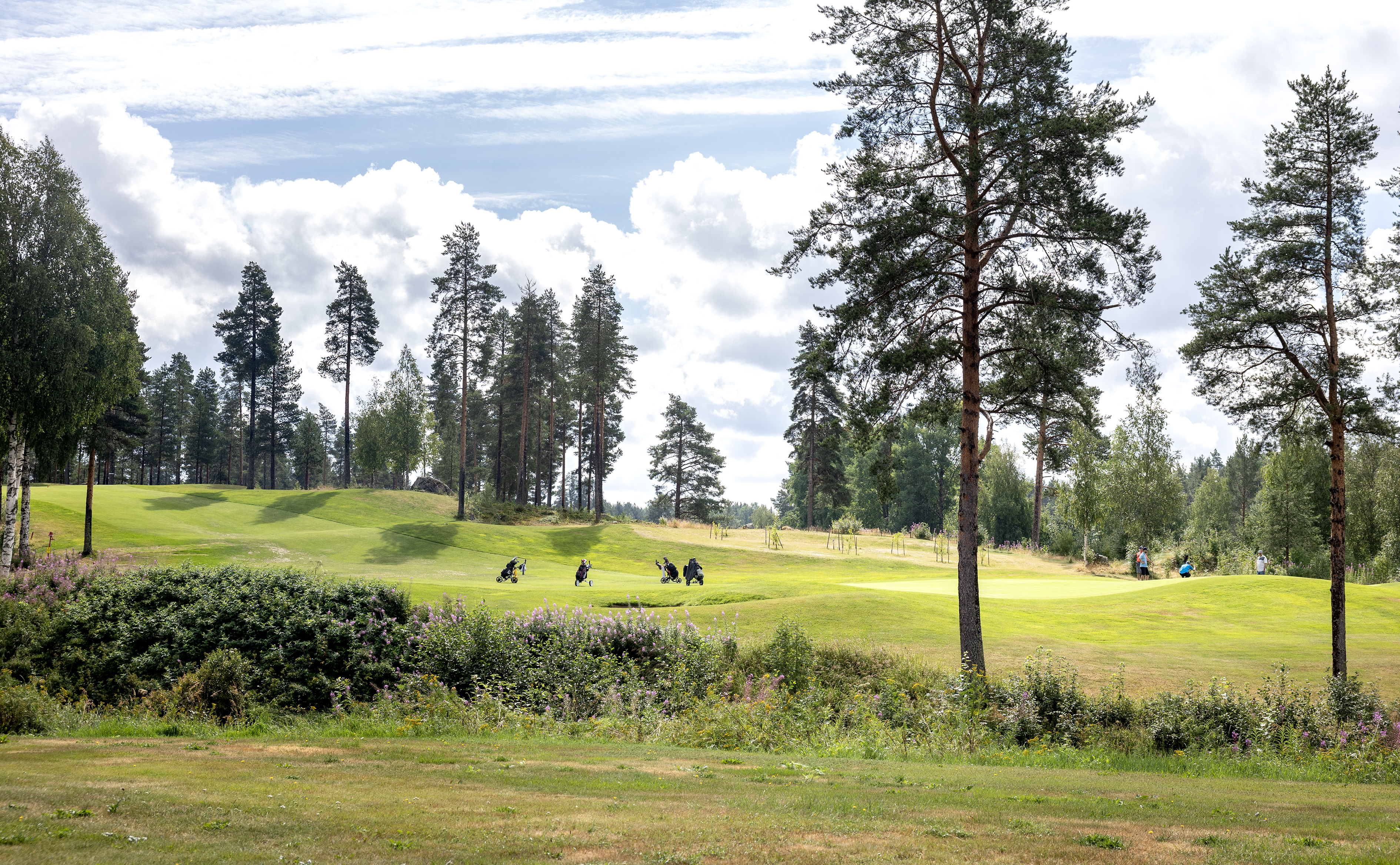 Oulun Golf hyväksyi Sankivaaran golfkentän kiistellyn laajennusehdotuksen