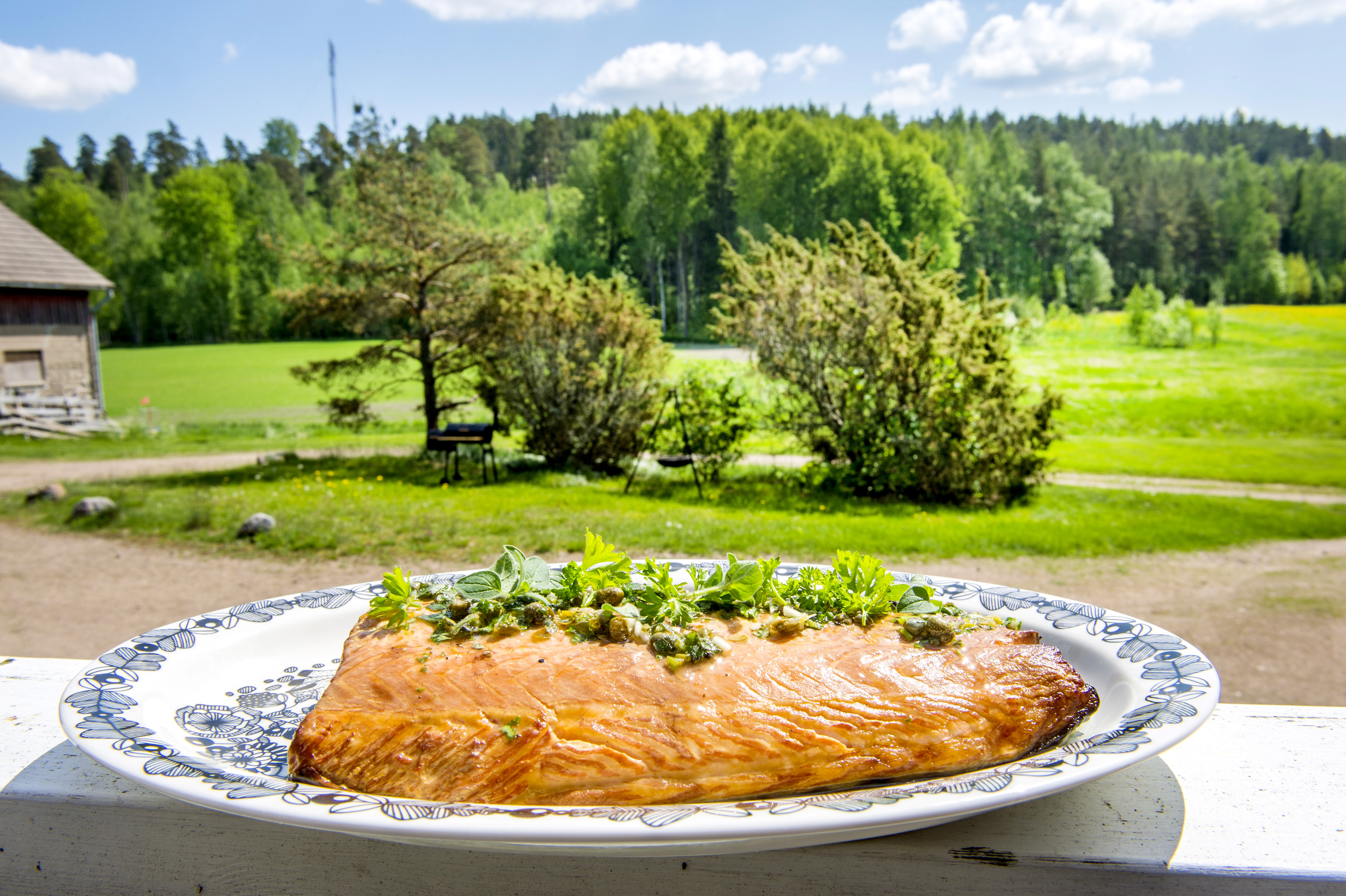 Lohi kypsyy savustuslaatikossa meheväksi ja aromikkaaksi.