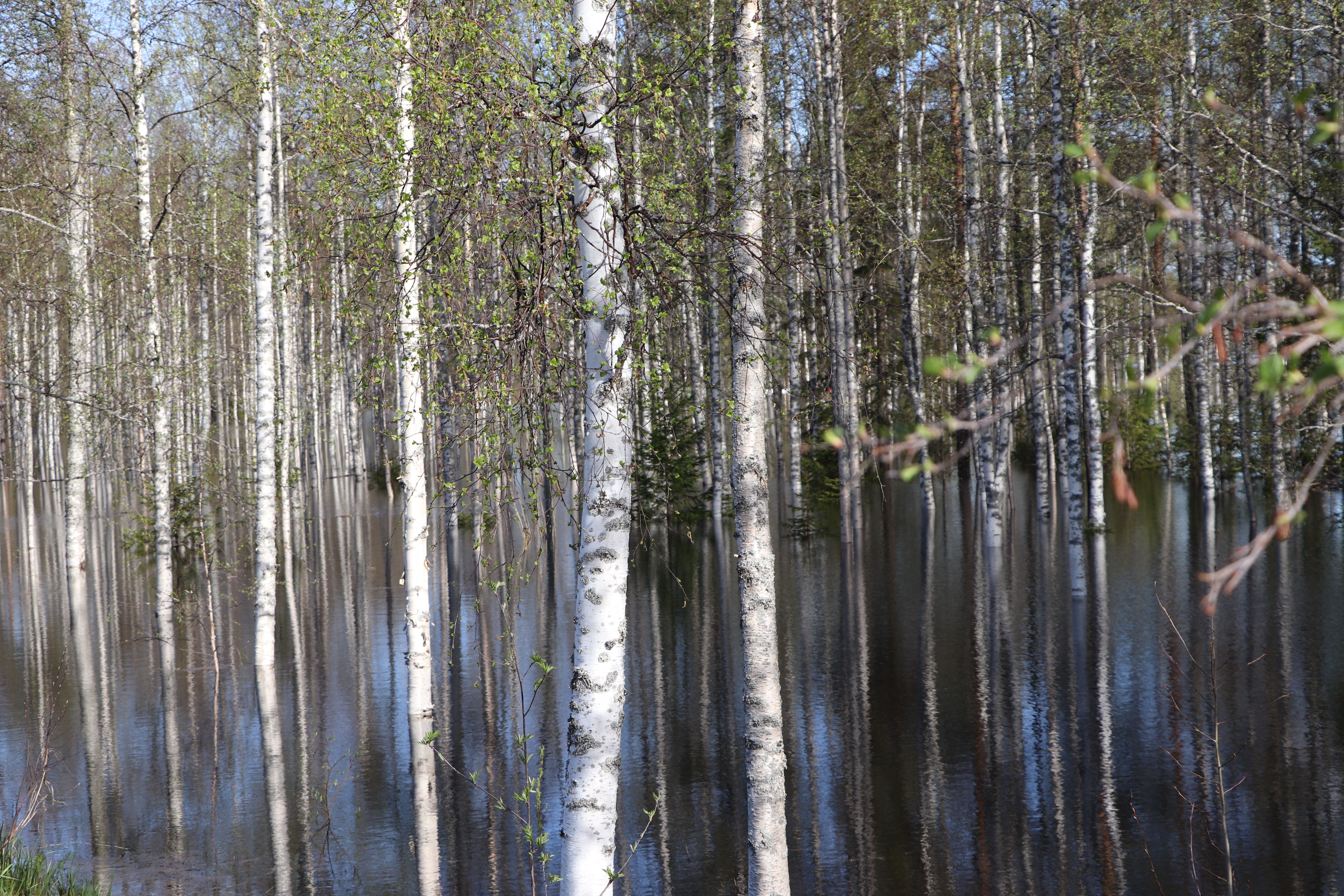 Pudasjärveltä Rimmintieltä. Kuva perjantailta.