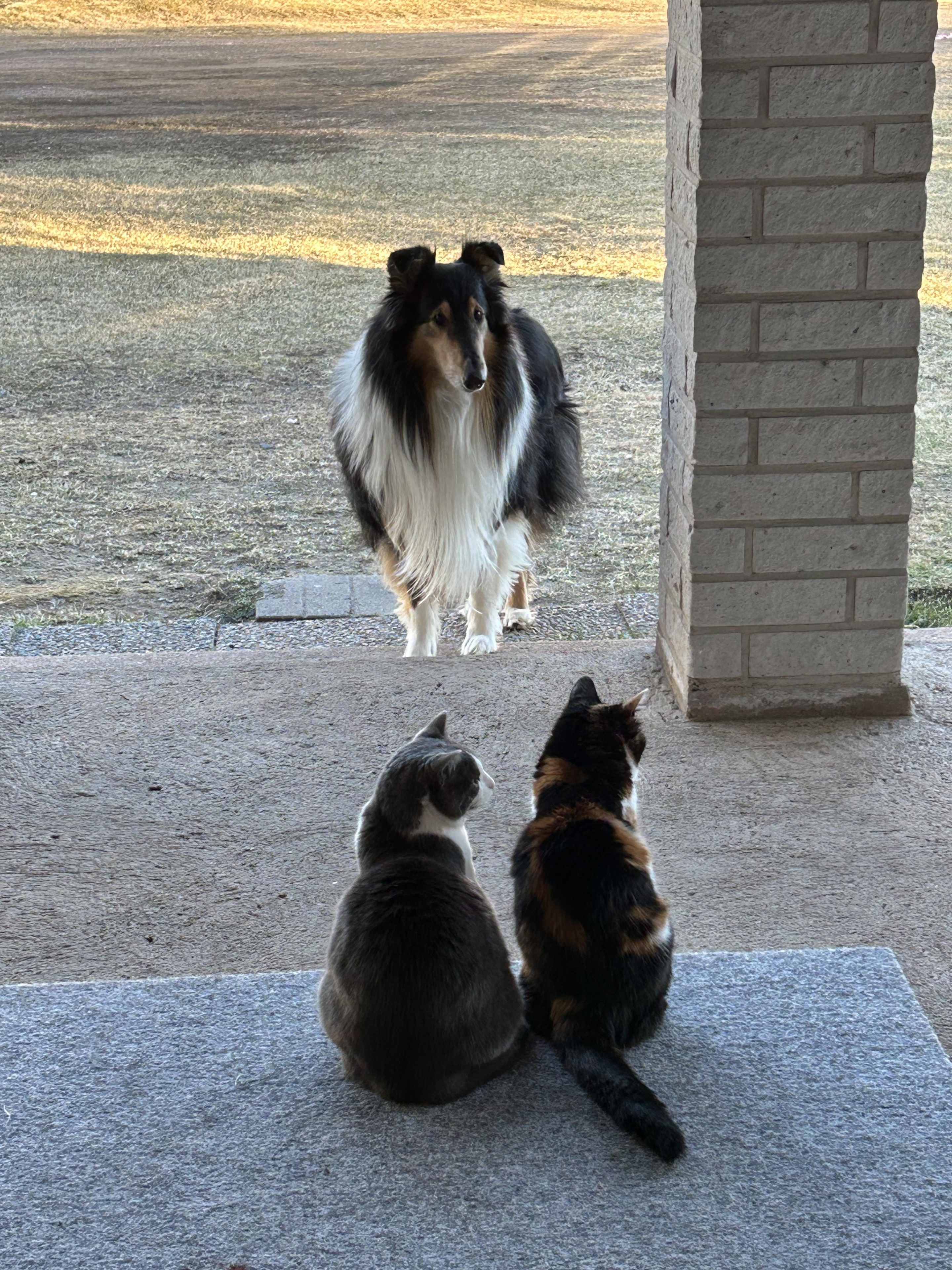 Toukokuun 2025 lukijakuvat