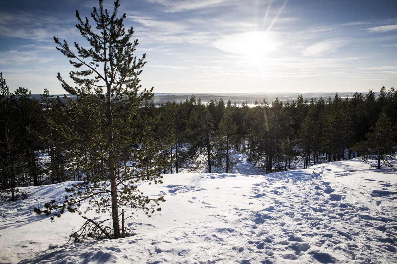 Lappilaiset saavat nauttia auringosta koko hiihtolomaviikon ajan.