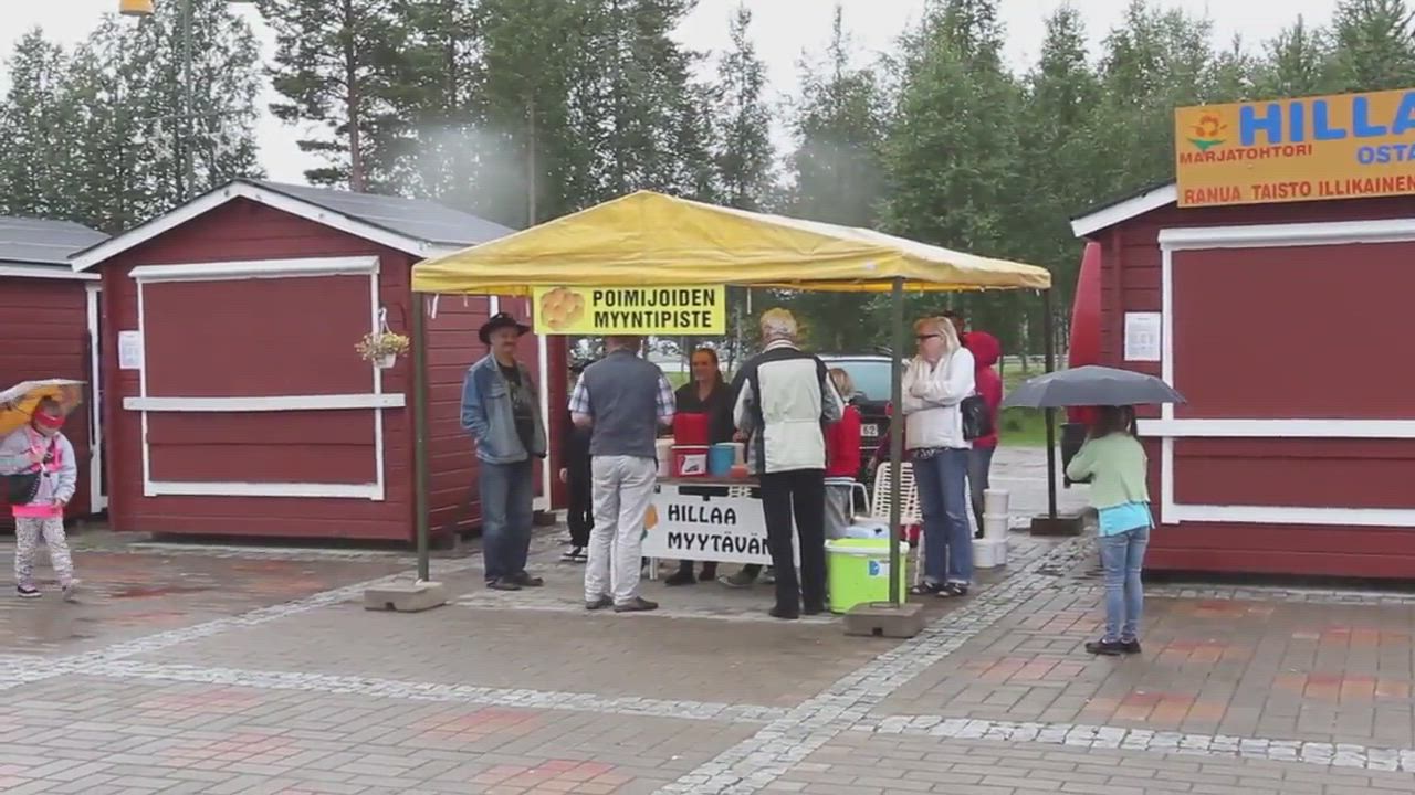 Ranuan hillamarkkinat, marjatohtori Maija Kuvajan haastattelu