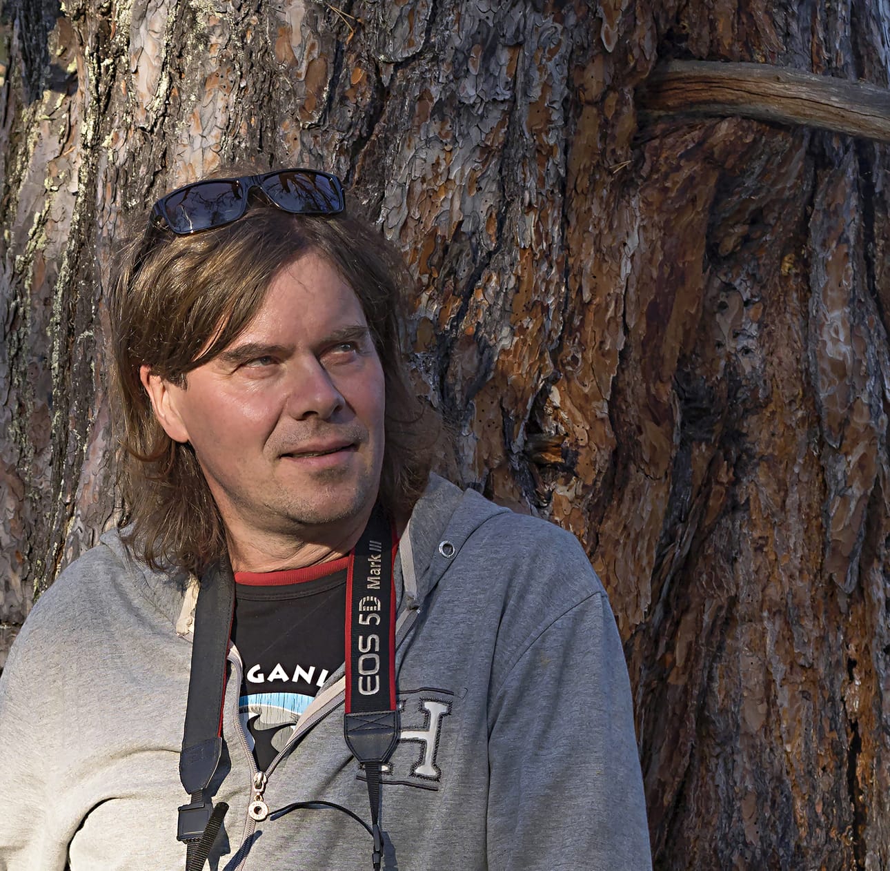 Lintumies on liminkalaisen Mika Honkalinnan kahdeksas teos ja ensimmäinen fiktiivinen kirja.