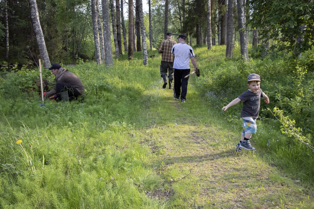 Piippolan seurakuntatalon lähimaastoon istutettiin kaikkiaan 40 koivua ja 20 kuusta. Talkooväen ikähaitari liikkui vuosikkaan ja yli 80-vuotiaan välillä.