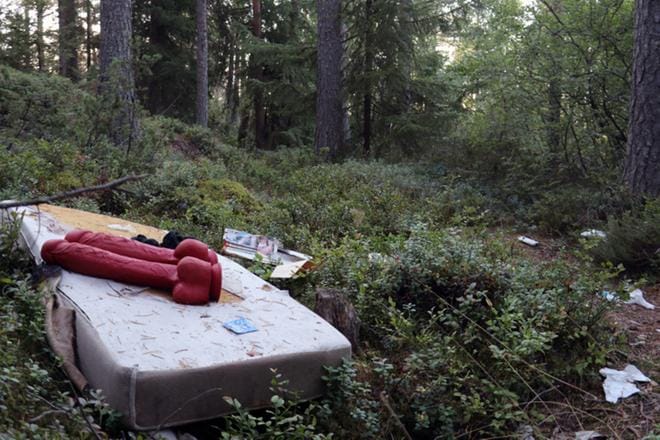 Metsästä löytyi kaksi dildoa aseteltuna patjalle. Ne olivat kuitenkin kadonneet viikonlopun aikana. Arkistokuva: Heikki Peltokangas