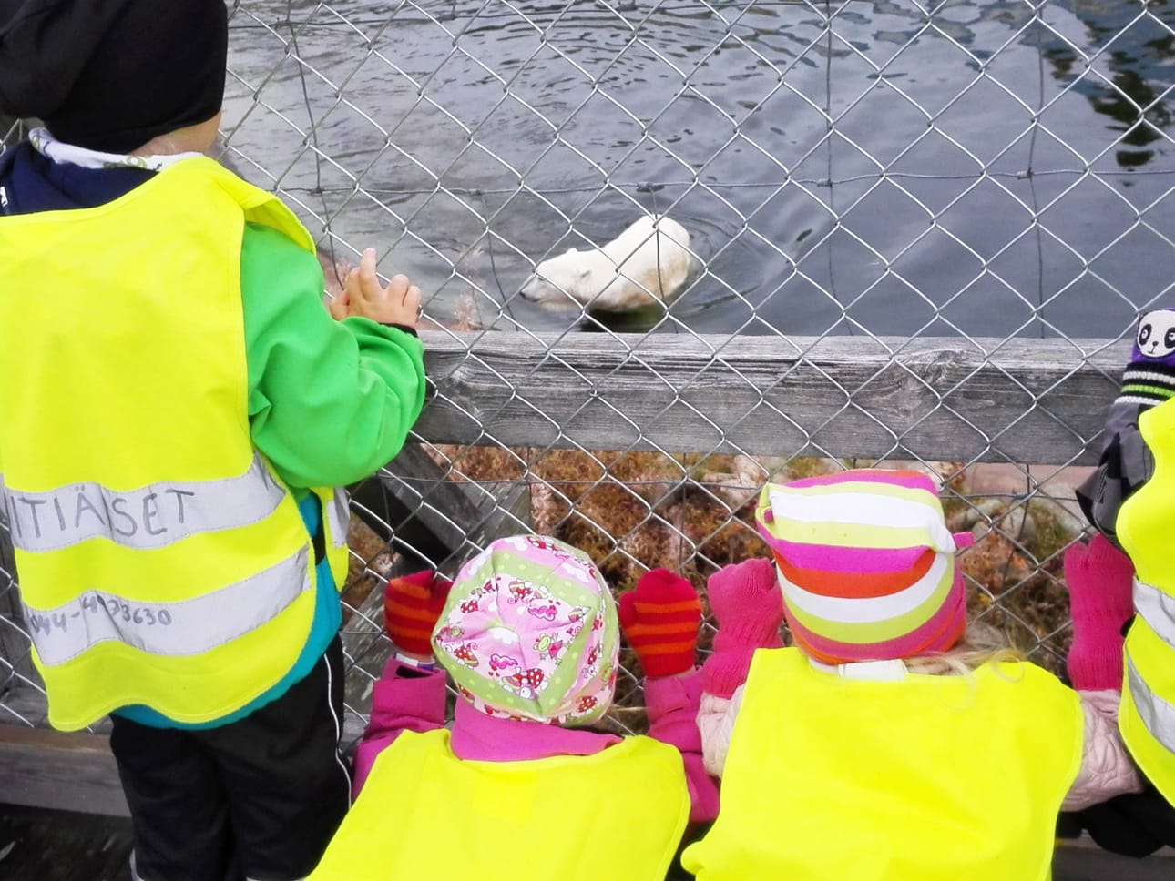 Ranualla ihailtiin muun muassa jääkarhua.