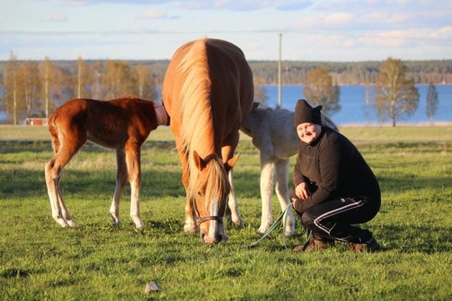 – Vernan Kielo on hyvä äiti, sanoo omistaja Kaisu Västinsalo. Se hyväksyi kaksi adoptiovarsaa omikseen. KUVA: SEIJA PAANANEN