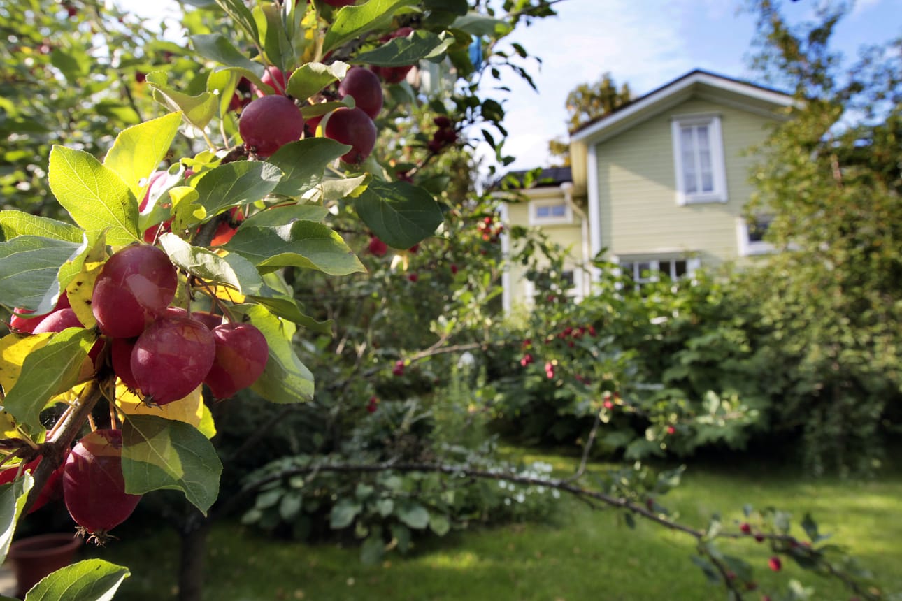 Puu-Raksilaa on ehdotettu vuoden kaupunginosaksi.