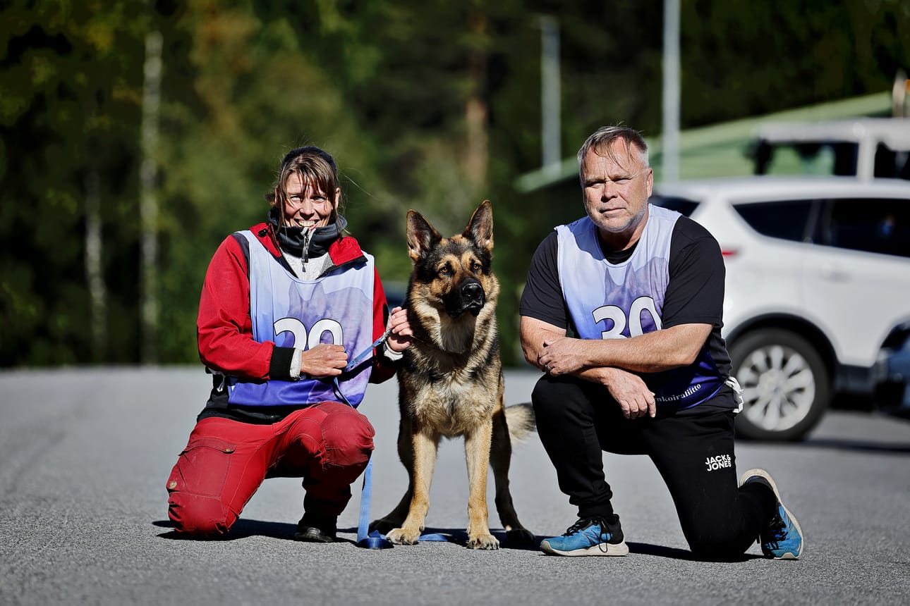 SPL-Seinäjoen Pirjo Lastikan Patu (kesk) ja Rauno Vartiaisen Rico edustavat Etelä-Pohjanmaata SM-kisoissa. Rico ei suostunut kuvattavaksi keskittyessään kilpailuihin.
