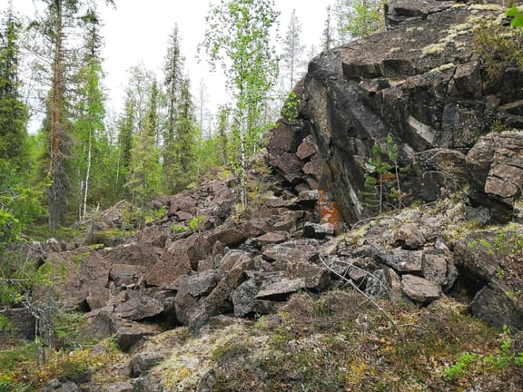 Serpentiinikalliota ja kivikkoa Kittilässä.