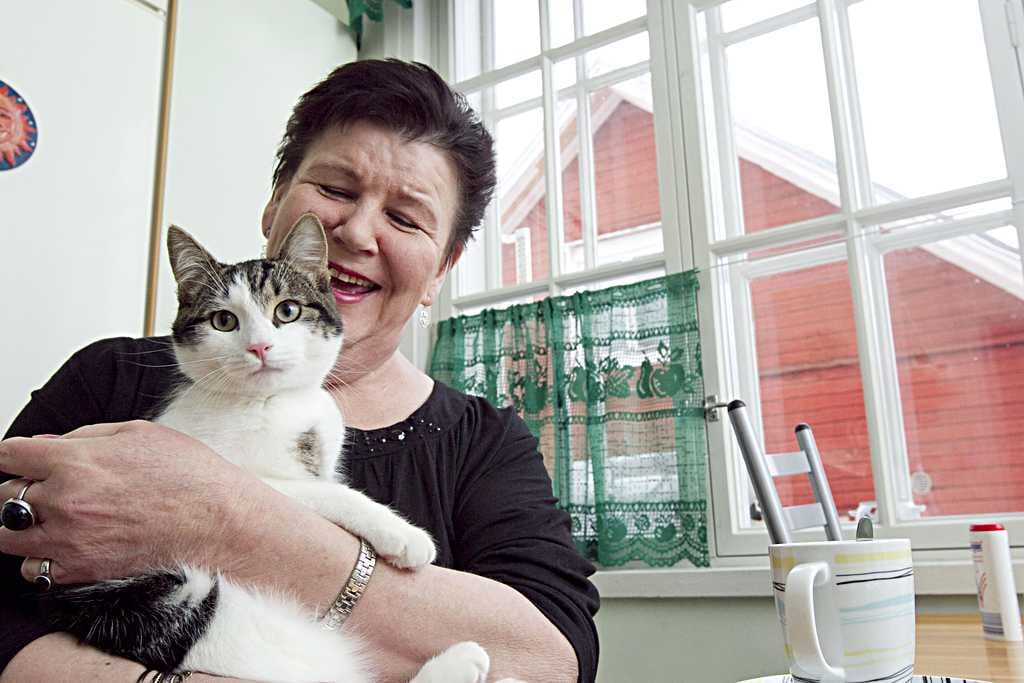 Kahdeksan kuukauden ikäinen Keijo-kissa pitää Sinikka Ahosen liikkeessä. Ulkoilutan kissaa narussa, koska pelkään, että se jää muuten auton alle, Ahonen toteaa uudessa kodissaan Tyrnävän keskustassa. Ennen leikkausta Ahonen ei jaksanut kävellä aina edes postilaatikolle.