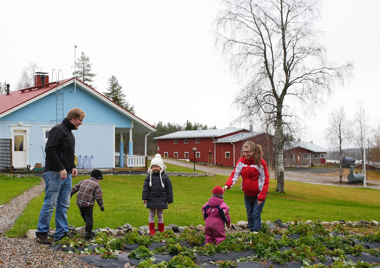 Turpeisen perhe raitistelee pihapiirissään vesisateisena marraskuun päivänä. Tilalta avautuu näkymä läheiselle Pistonjärvelle. Taivalkoskelaistuottaja esittää 5 sentin korotusta maitolitraan