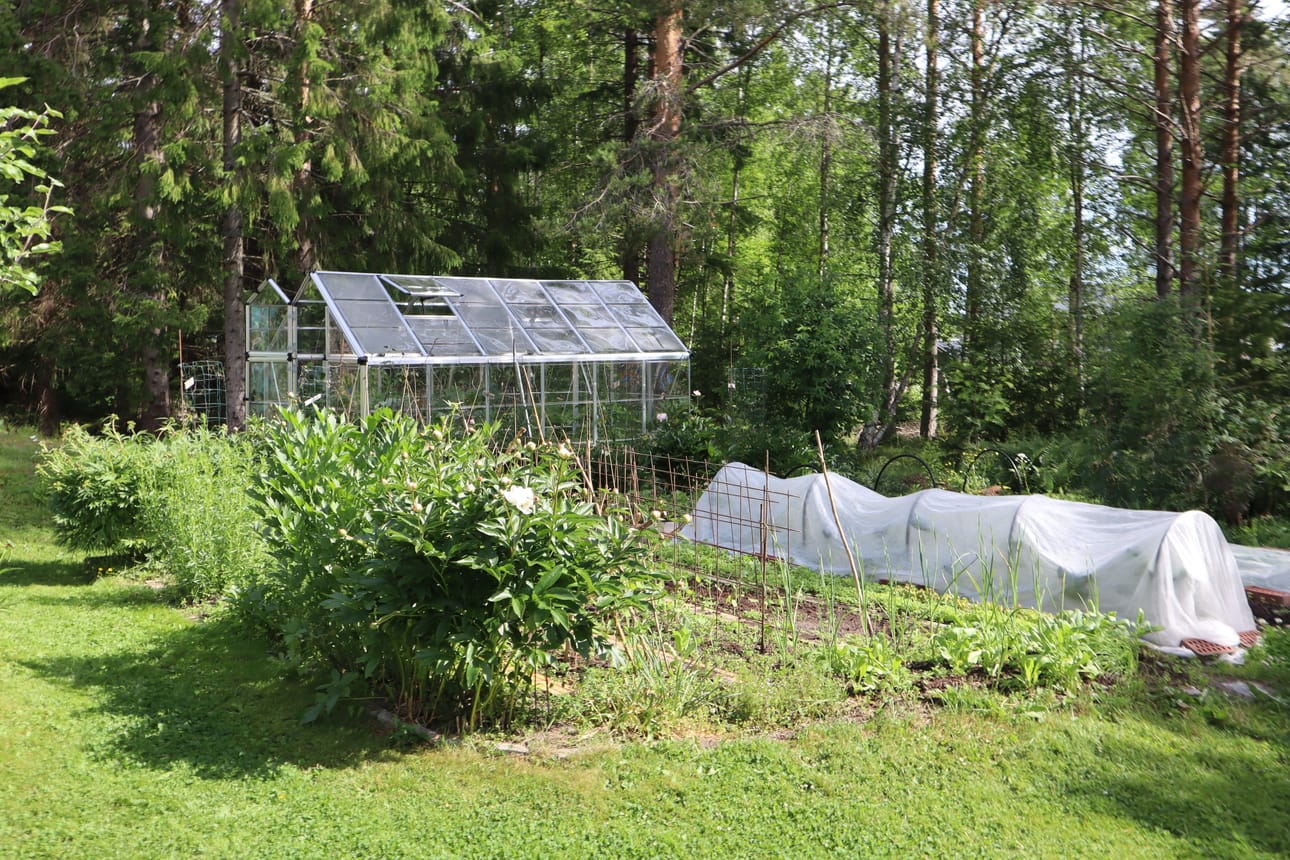 Häggblomien pihalta löytyy myös kasvimaa.