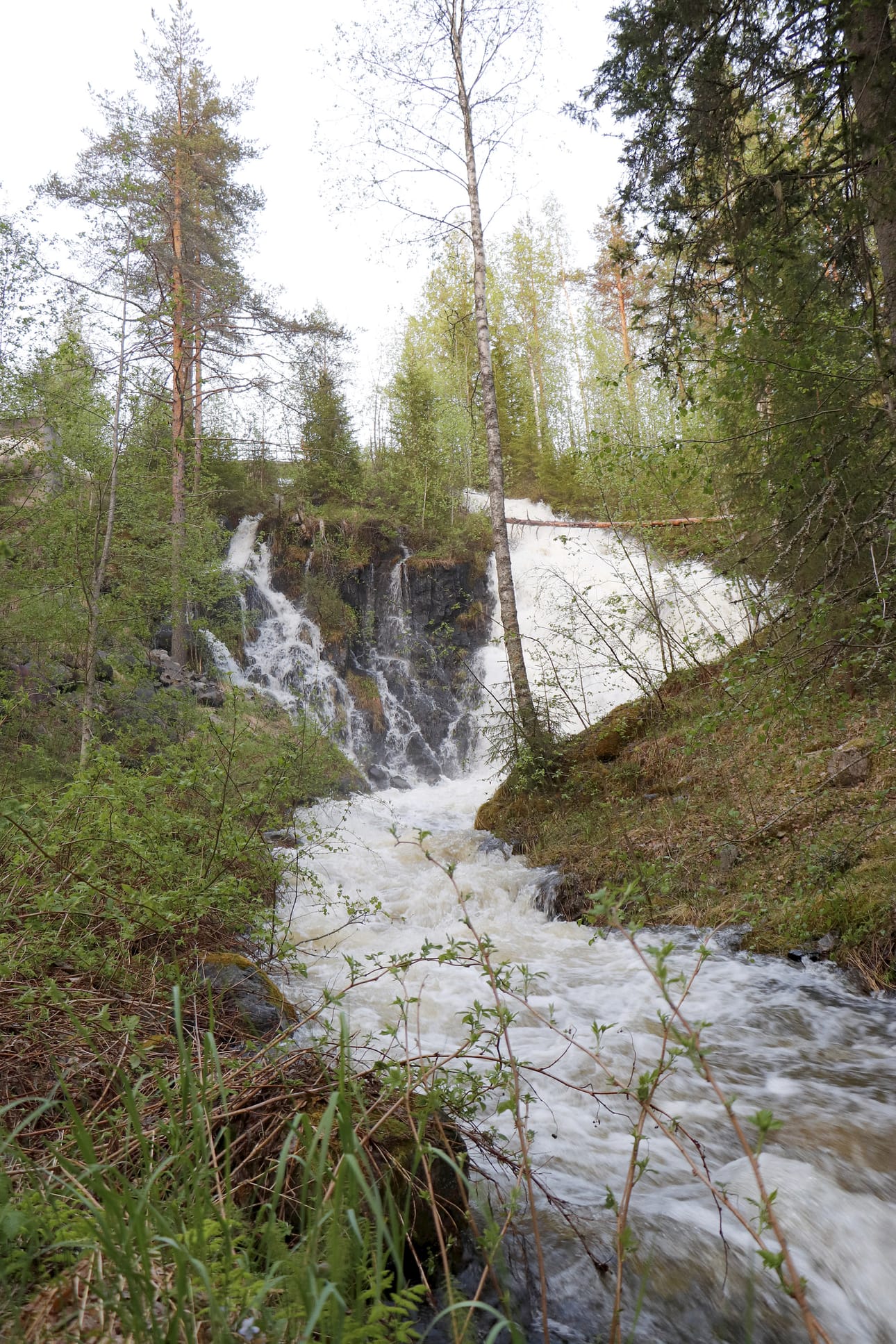 Pintamon Pikku-Taivalkoski eli Pirunkoski luonnonmukaisessa tilassaan on komea näky
