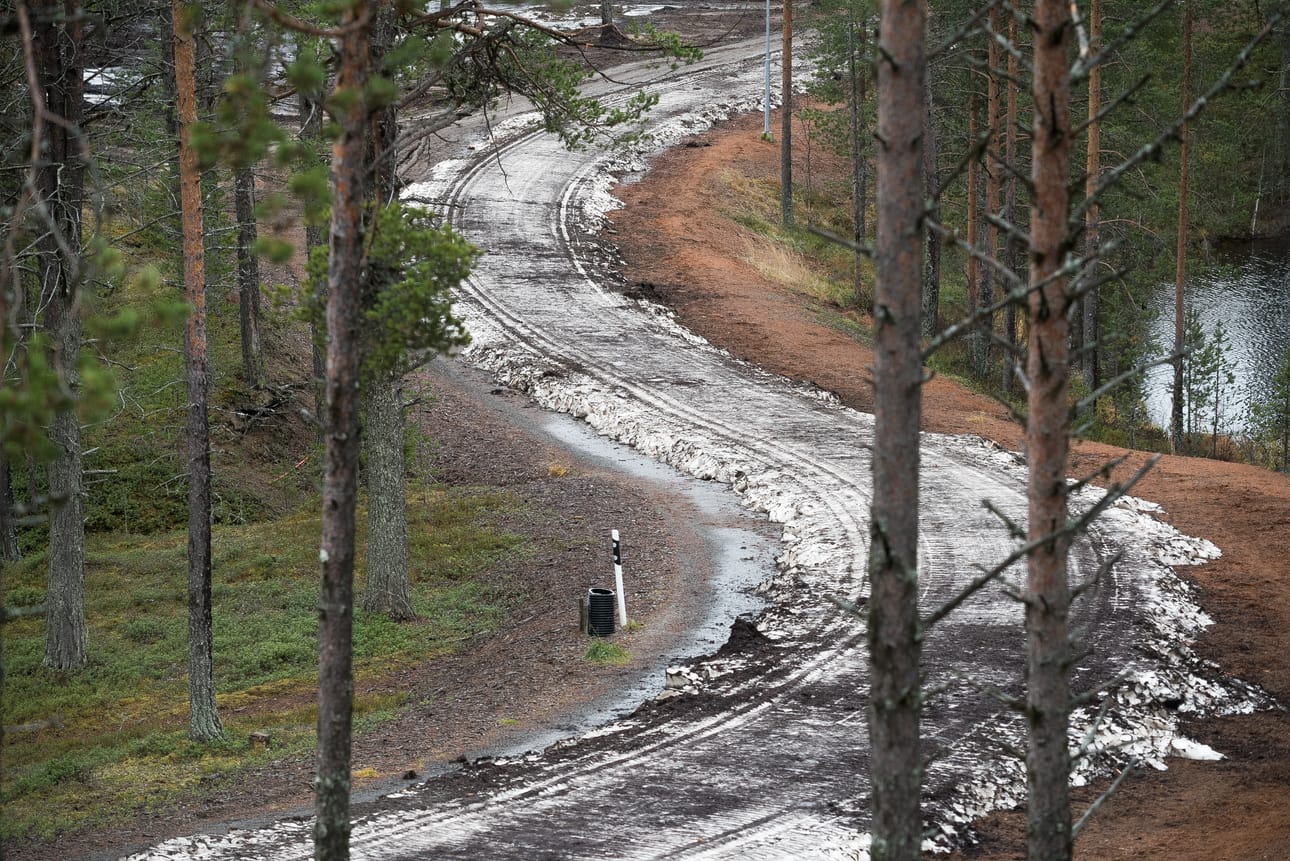 Petäjälammen latupohja on tummunut, pehmeä ja roskainen.