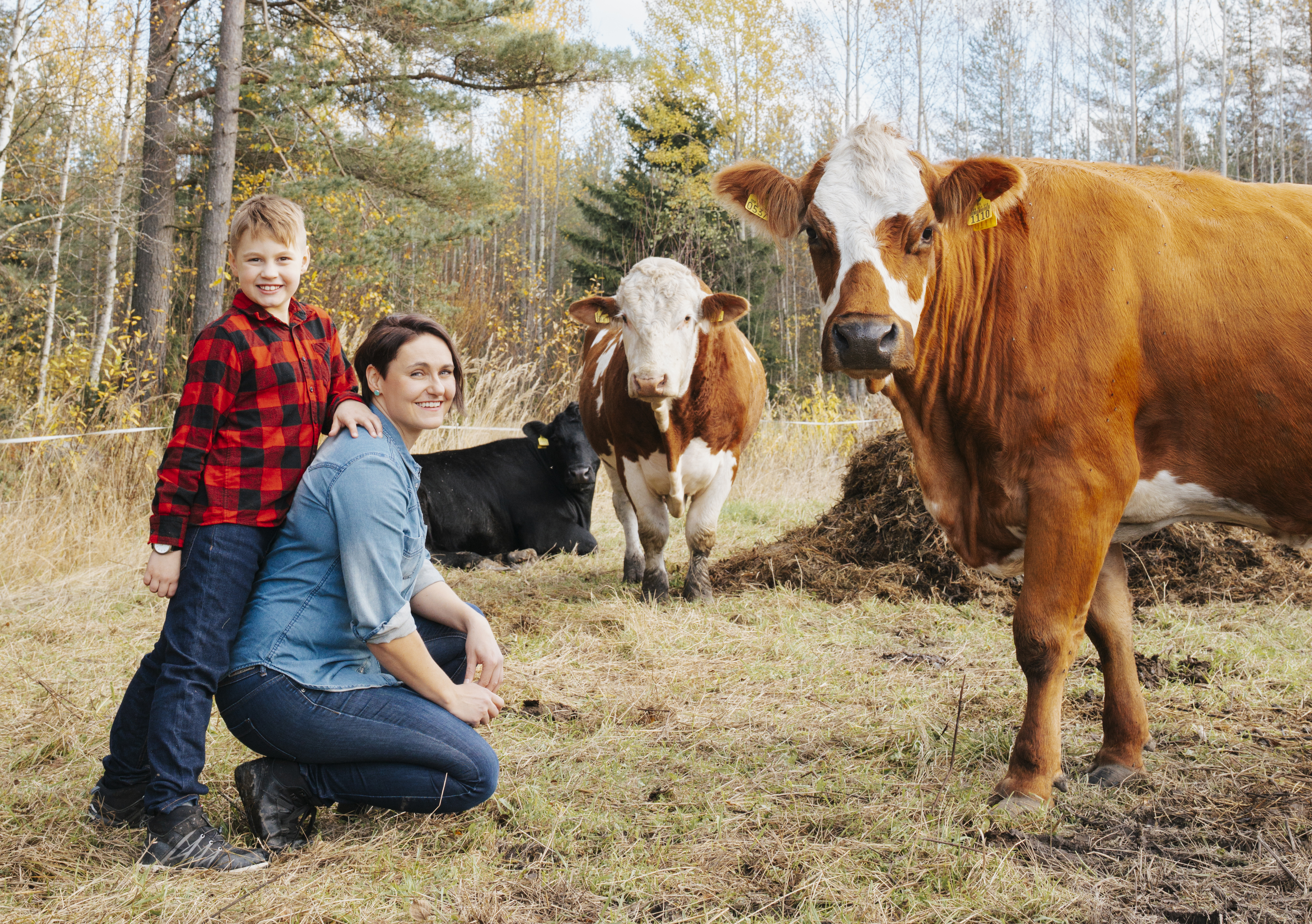Kaverikirja: Päivi Kasarilla on hauskasti nimetyt lemmikit ja lipsuva ote kännykästä