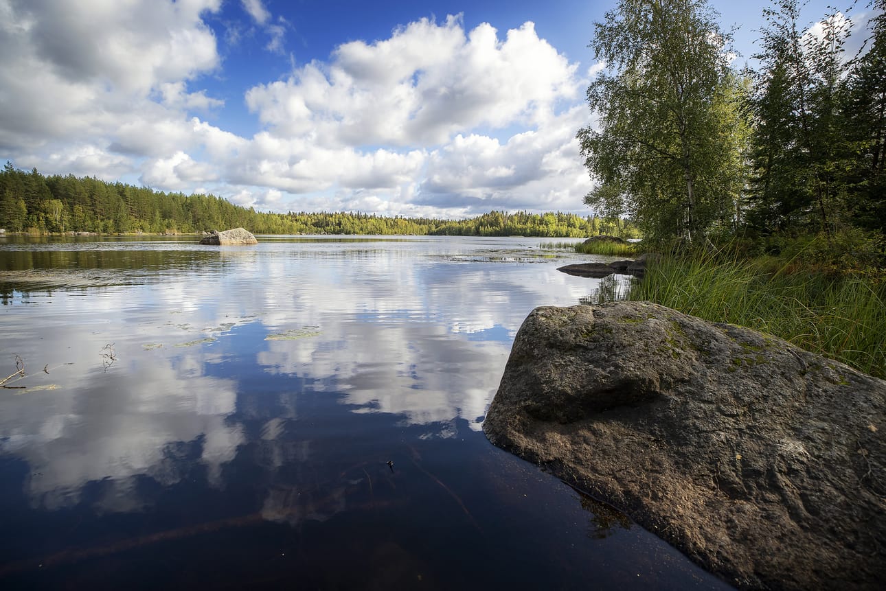 Vaasassa on paljon luontopolkuja, mutta ne ovat erillään toisistaan. Kuva on Pilvilammelta.
