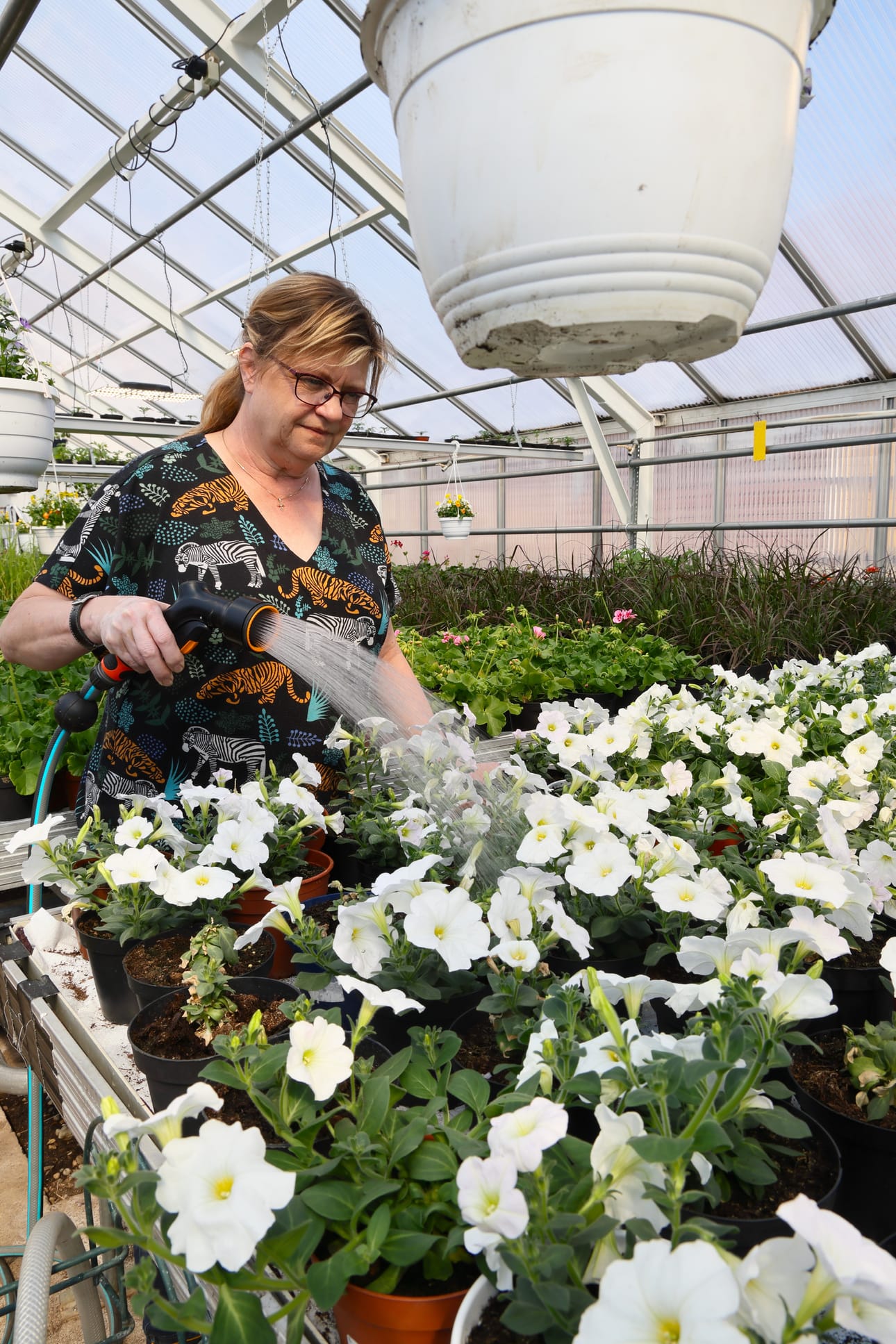 Ruukkujen alla on kostutettua huopaa, minkä ansiosta kukat kasvattavat pitkät juuret. Niiden avulla ne pärjäävät tuulessa ja tuiskussa. – Pitää näitä silti kastella, mutta saa olla varovainen, ettei kastele liikaa. Ylikasteluhan se on kaikista haitallisinta, kaupunginpuutarhuri Tita Haapajoki toteaa.