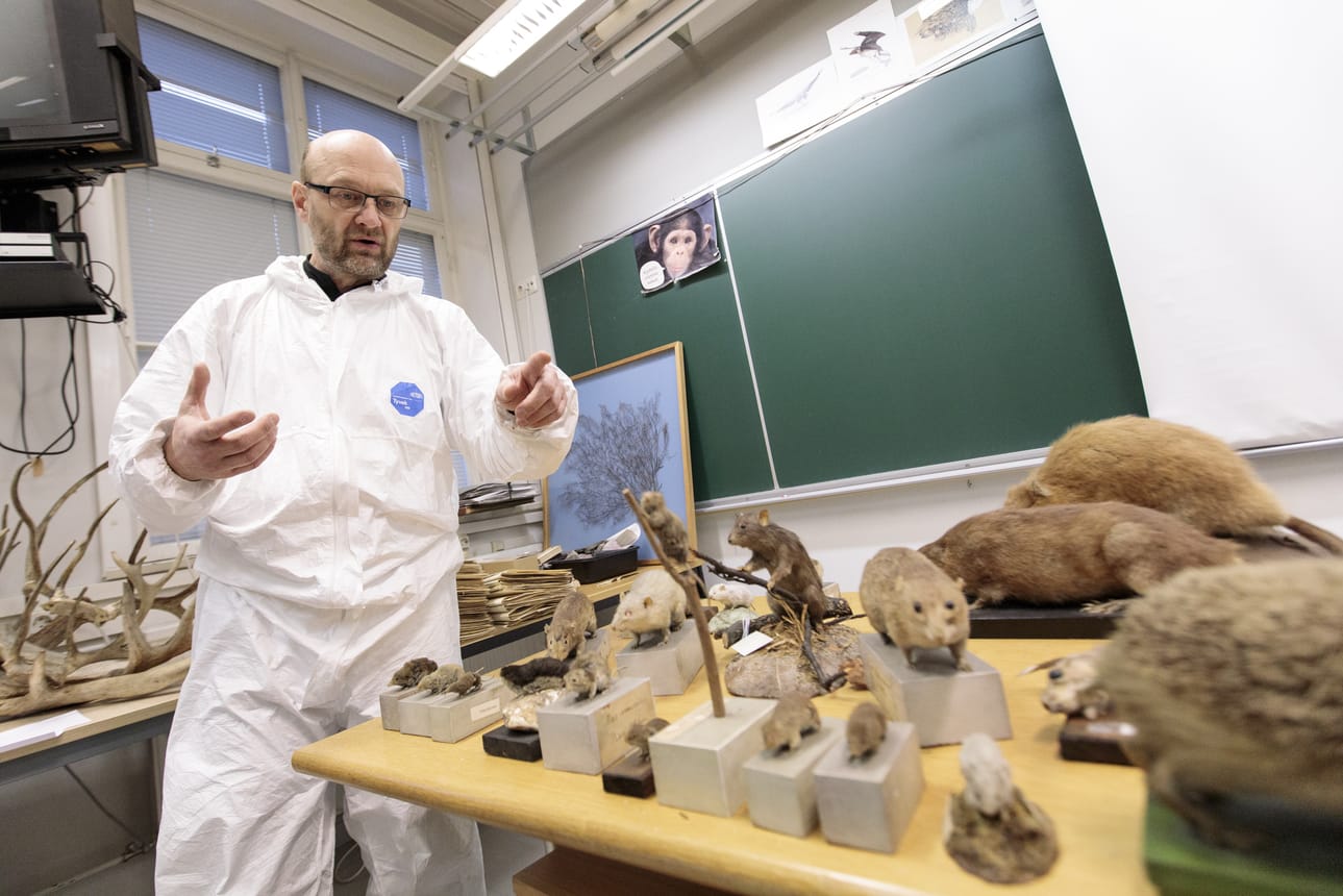Iiro Kakko on pukeutunut valkoiseen suojahaalariin inventoidessaan sisäilmaongelmista kärsineen koulun vanhoja luontokokoelmia. Kohtaloaan odottavat muun muassa täytetyt rotat ja muut pikkunisäkkäät.