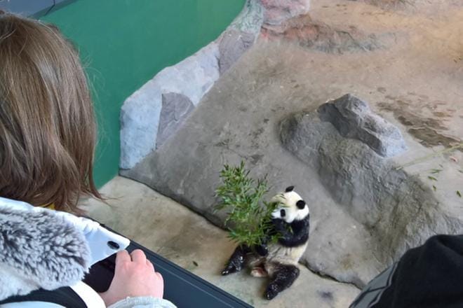 Lumi-naaras tuli sisälle nauttimaa välipalaa. KUVAT: Harri Kallio-Kurssi