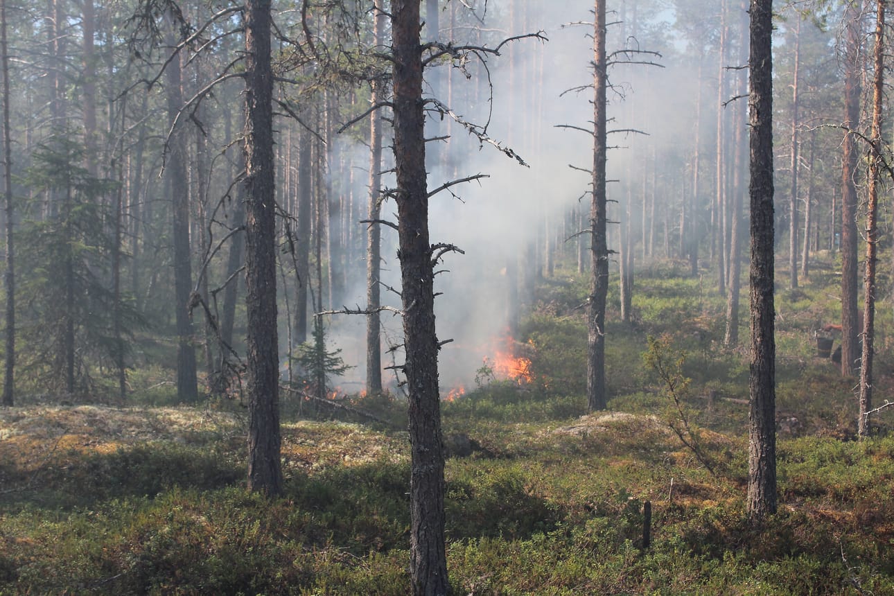 Pyhäjoella syttyi torstaina aamupäivällä maastopalo. Se saatiin kuitenkin rajattua ja sammutettua varsin nopeasti. Paikalla oli kolme sammutusyksikköä ja kaksi säiliöautoa.