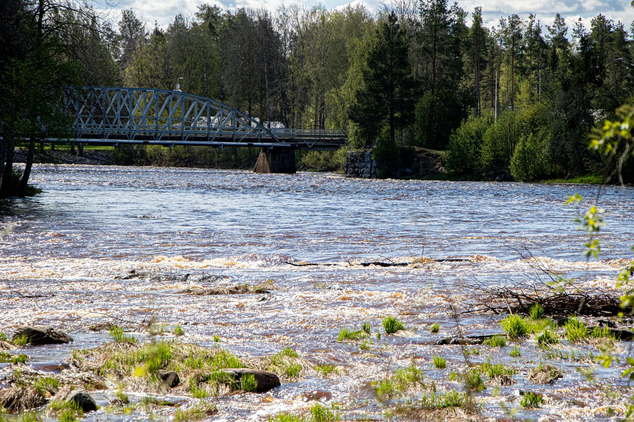 Kevättulva tuli Siikajokeen tänä vuonna tavallista myöhemmin. Vesi nousi joessa tulvalukemiin runsaiden vesisateiden ansiosta. Kuvassa Ruukinkoskea.