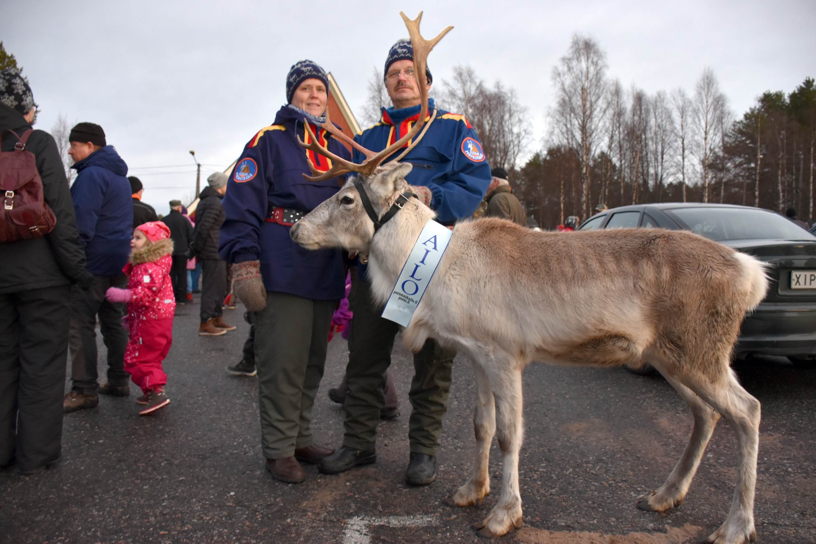 Ailo-poro on Christina Löther-Mourujärven ja Manne Mourujärven Ylitalon poromatkailutilalta. Poron oikea nimi on Prinssi. Yrittäjät toivat Ailo-poron näytteille joulunavaukseen.
