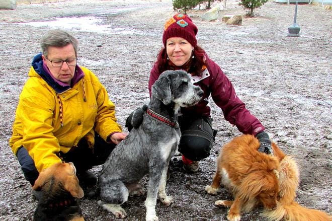 Marjo Hannula (vas.) ja Miia Vistbacka kantoivat päävastuun koirapuistohankkeen toteuttamisesta. KUVA: KATRIINA KOJOLA