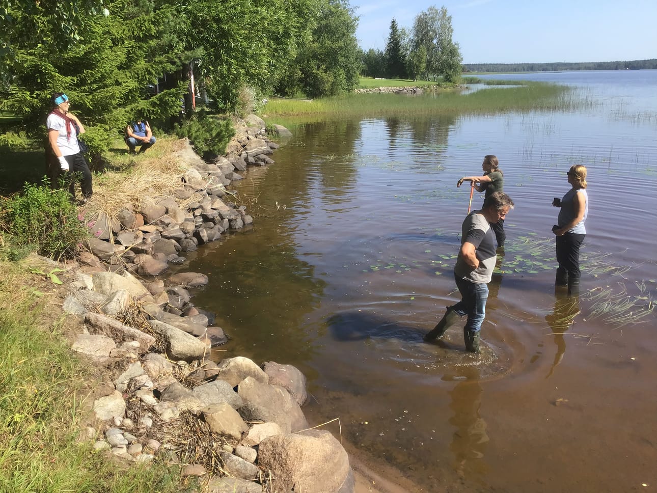 Iso-Vatjusjärven vedessä ei voi rantatontin ja -mökin omistavan Hilkka Ruuskan mielestä uida eikä uittaa koiria.