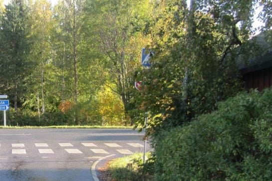 Ennen-kuva. Stop-merkki piileskelee vielä tässä vaiheessa oksien takana. KUVAT: JARI HUTTUNEN
