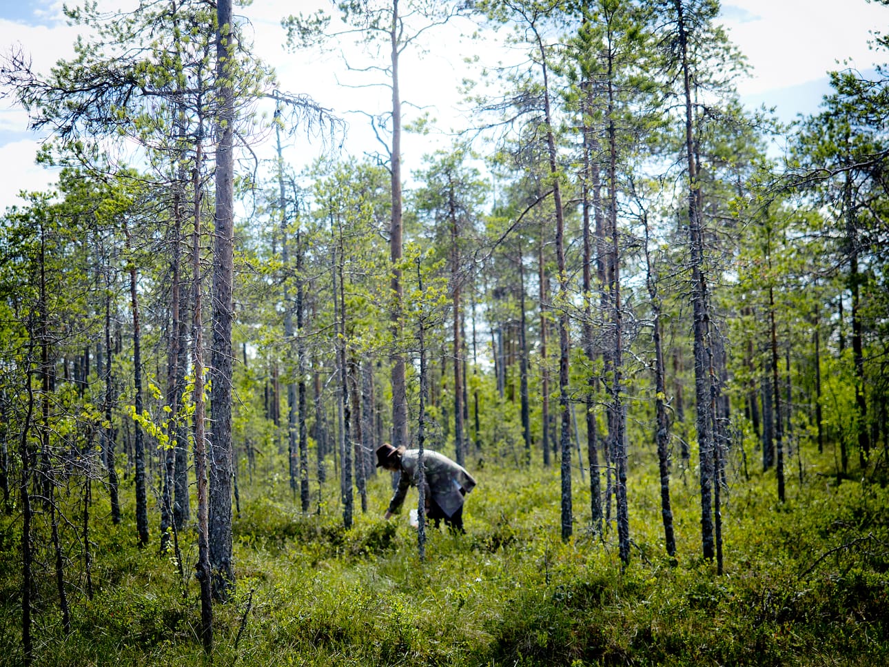 Kuvituskuva.