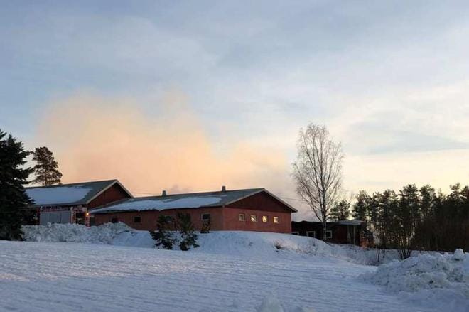Jopa 250 sikaa kuoli tulipalossa sunnuntaina Merikarvialla.