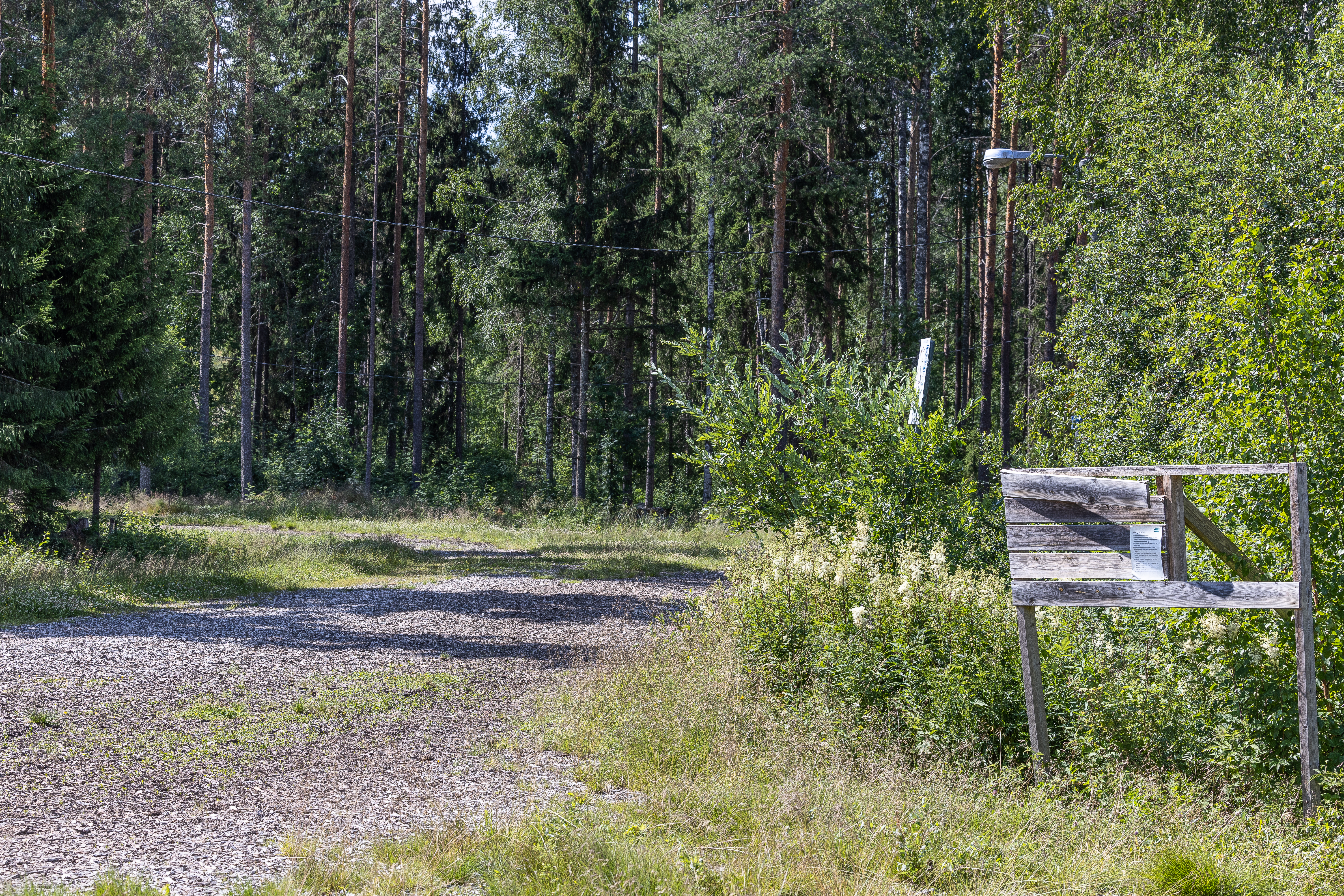 Laihian kuntoradan myrkytys herättää keskustelua – Kuntalaiset ovat huolissaan eläinten ja ihmisten terveydestä 