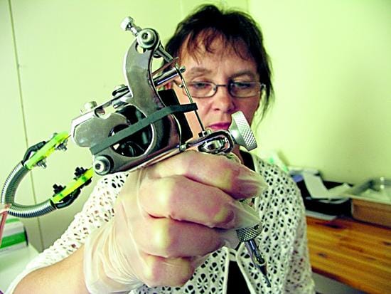Anne Raudaskoski perusti tatuointiliikkeen Ylivieskan Raudaskylän rauhaan. Tattoo Mustan Ruusun toimitilat ovat entisen kyläkaupan yläkerrassa.