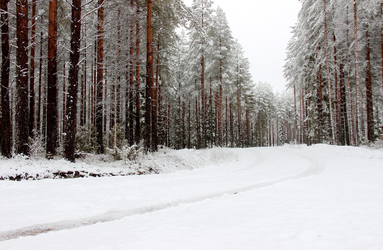 Maanantaina kevät näyttäytyy valkoisena ja lumisena Pudasjärvellä. Kuva on otettu Pudasjärven länsilaidalla maanantaina aamulla.