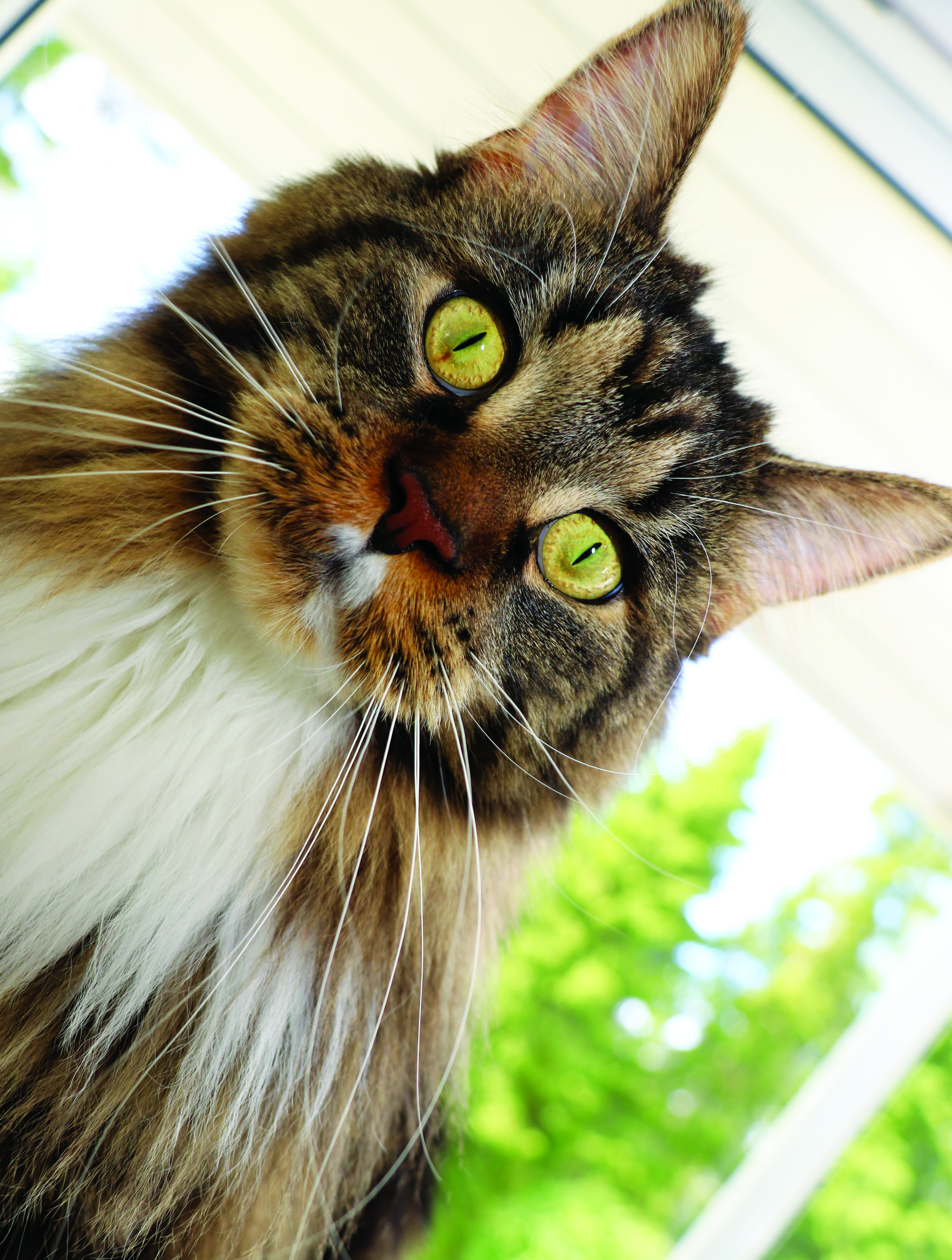 Eimi.