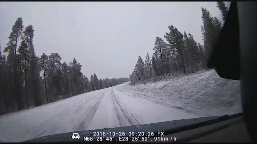 Auto törmää suteen