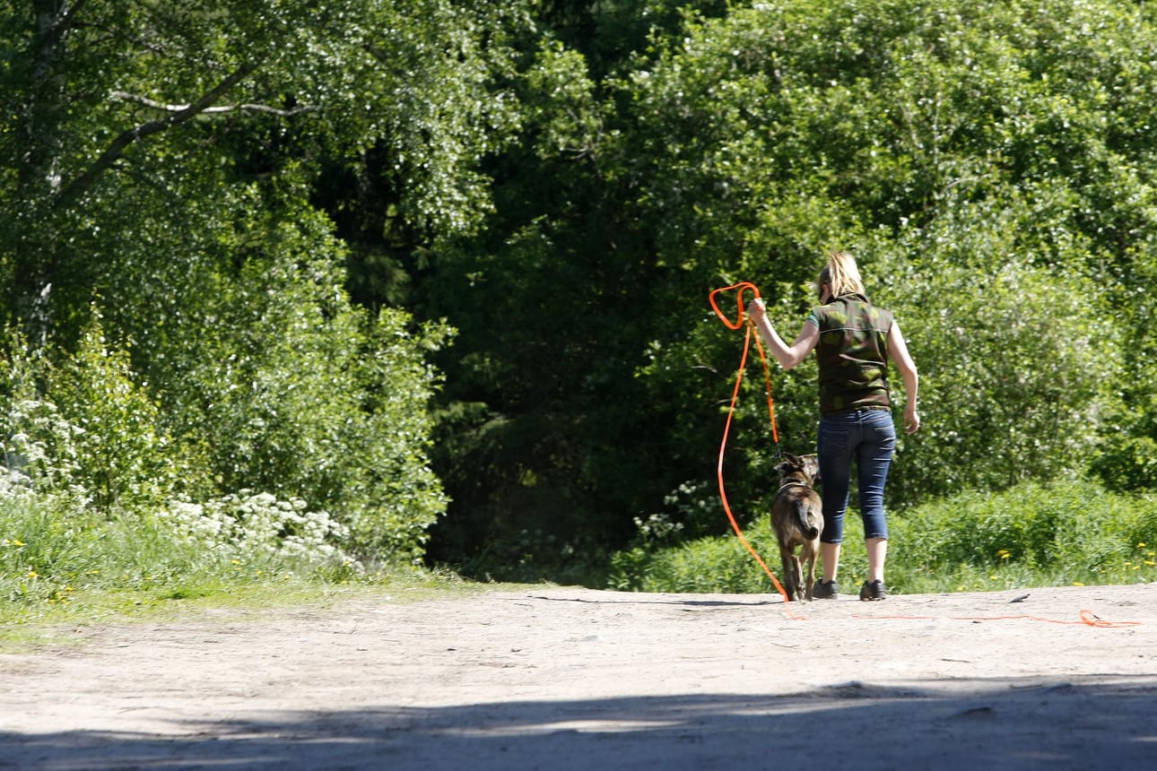 Koirat on pidettävä kiinni kansallispuistossa.