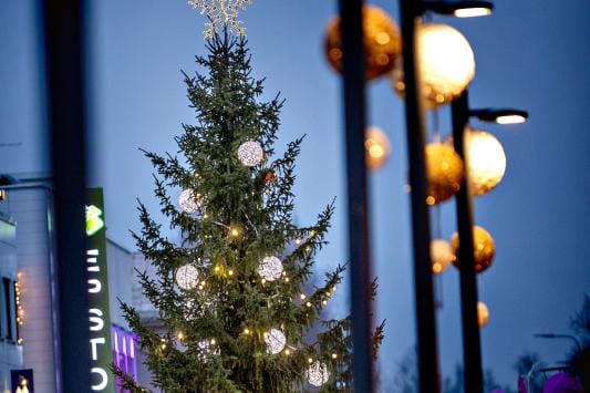 Joulukuusi pystytetään taas Seinäjoen torille Horsma-veistoksen kaveriksi. KUVA: JAAKKO ELENIUS