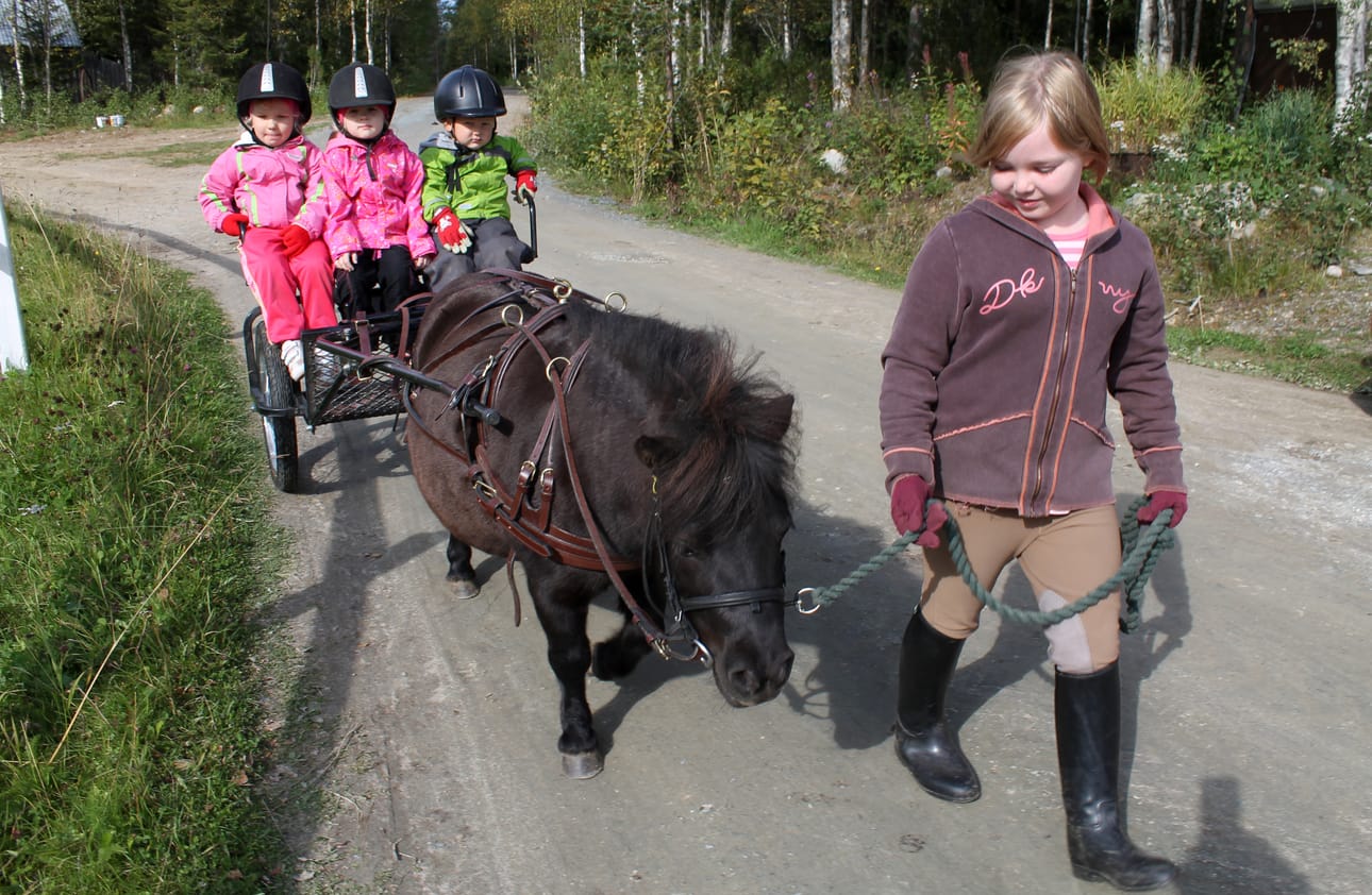 Emma Hyrkäs ja Venni kyyditsivät muksuja pihalla lauantain talkoissa. Emmalla on kotona oma poni, joka on nimetty energiajuoman mukaan. – Koska se antaa siivet, Emma nauraa.
